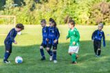 Jeugdwedstrijden sportpark ‘Het Springer’ van zaterdag 9 oktober 2021 (10/28)